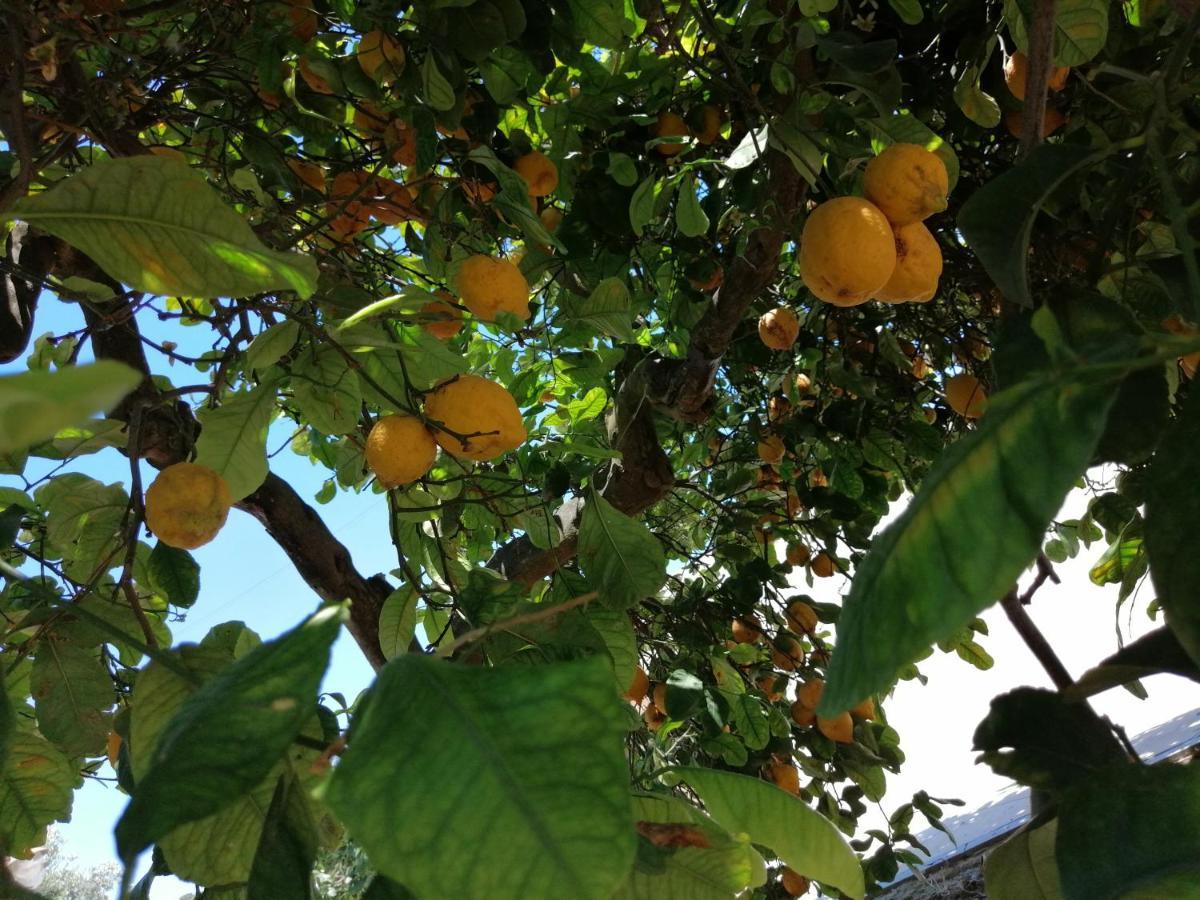 Lumie Di Sicilia